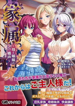 《大明风华》简介内容50字左右怎么写的