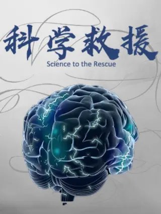 火影忍者疾风传634免费观看