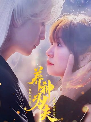 女人的天空第五季剧情介绍分集