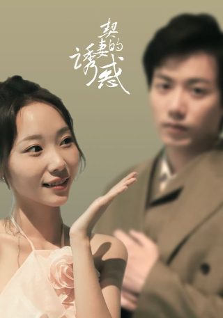电影《龙在天涯》剧情介绍大全视频播放下载