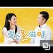 初见电视剧全集观看完整版高清免费