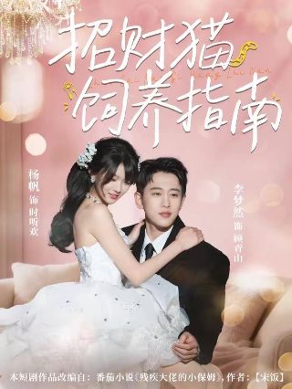 白莲花第一季演员表大全