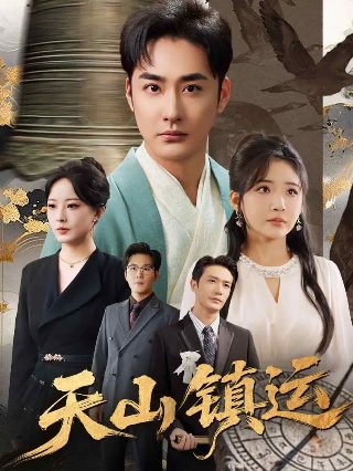 利剑电视剧剧情介绍大结局免费观看