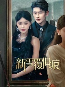 青酱不能学习动漫