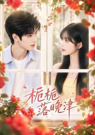 赘婿电视剧37集免费观看下载