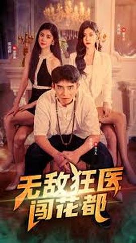 村傻逆袭录有哪些集数?