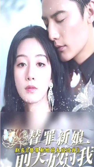 海上天鹅图片真实