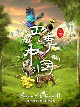 雷锋电影免费观看全集国语版