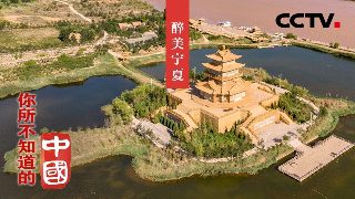 极寒末日四个姐姐悔不当初短剧70