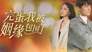 《单身日记》大结局在线观看视频免费下载