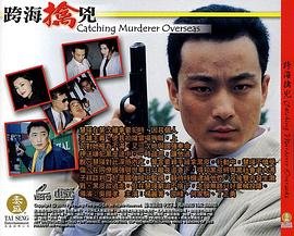 金关电视剧免费播放全集