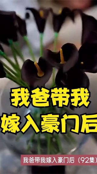 故事的故事完整版资源下载网站在线观看免费
