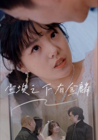 蜘蛛侠第一季动画免费观看免费