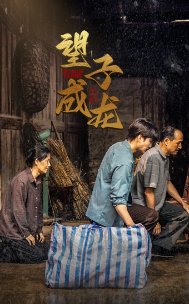 《红玫瑰》电影演员表大全图片视频在线观看下载