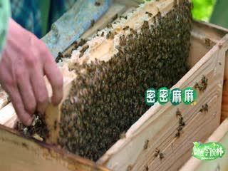 金南珠我心荡漾电视剧资源