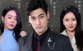 婚词离曲第四季在线观看全集高清