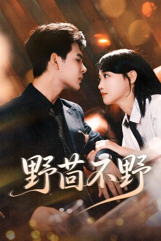 完美世界在线观看微博兔