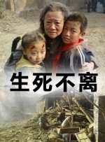 布里奇顿主演名单图片