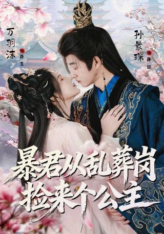 我是国王无限金币版