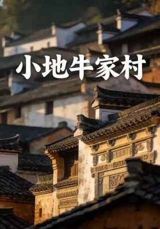暴力街区电影介绍