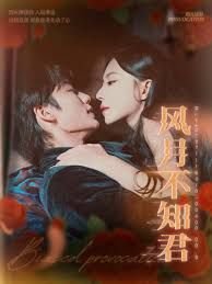 孝庄秘史多少集大结局了