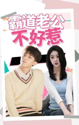 林海雪原故事情节概括150字