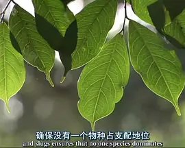 战马歌词打印版图片高清无水印