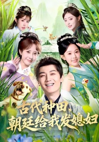 MATE40保时捷