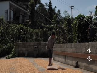 山河恋之美人无泪免费观看策驰影院