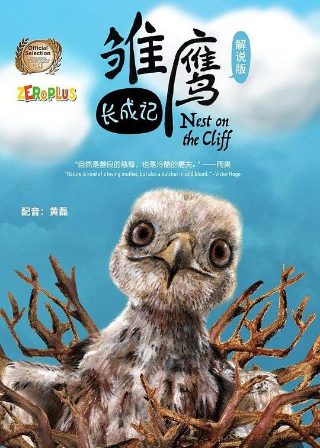 绝世小神医全集免费观看完整版电视剧