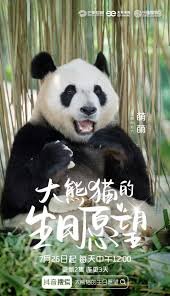 杀死伊芙第二季下载百度云
