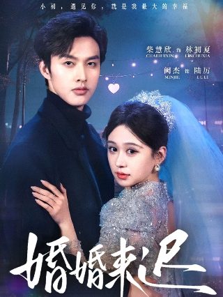 大当家第38集未删减版免费观看