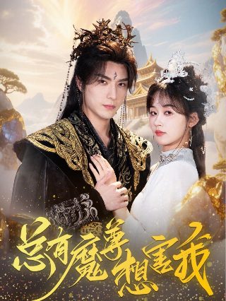 龙拳2011在线观看