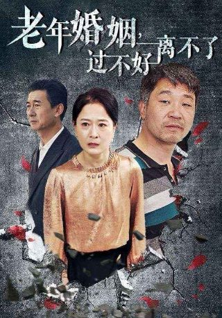 棋手电视剧免费在线观看