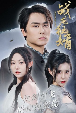 《盲点》电视剧演员表介绍图片高清版下载
