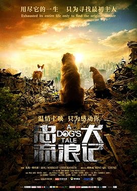 幻宠师第二季免费播放电视剧完整版高清下载