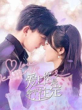 《必娶女人》大结局视频在线观看免费高清版