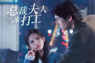 完美小姐和差不多先生电视剧