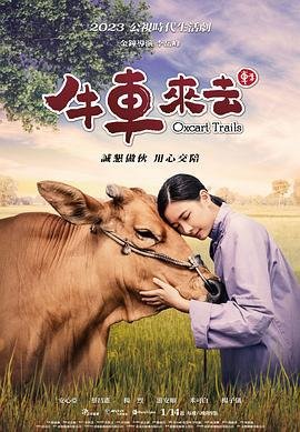 消失的凶手大结局