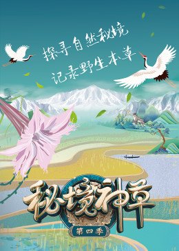幻灯片制作教程视频