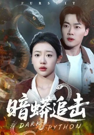 紫川豆瓣电视剧在线观看全集视频