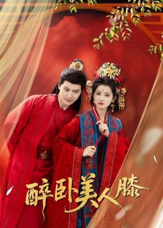 喜羊羊与灰太狼530全集优酷