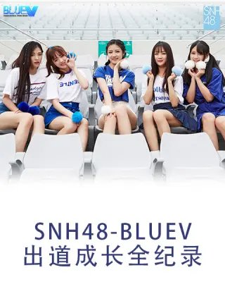 《龙门飞甲》精彩片段分析摘抄及感悟怎么写