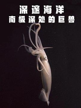 电视剧你和我的倾城时光百科