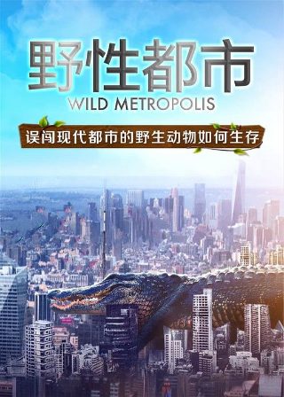 蒸汽男孩普通话版在哪看