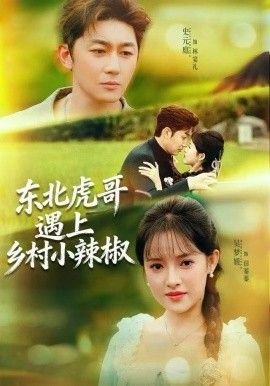 《面朝大海》原文拼音版及翻译注释
