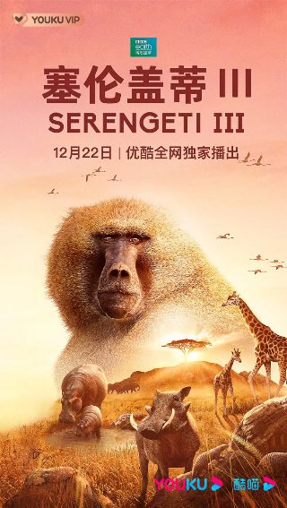 乐高幻影忍者第十六集预告片