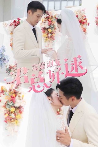 完美世界剧场版火之灰烬一共几集