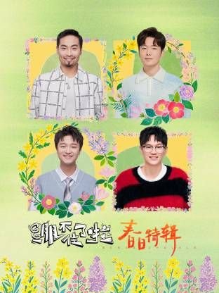 电影《罗宾汉》在线观看中文