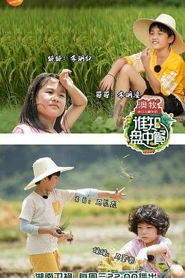 侠岚电影免费观看全集国语版高清